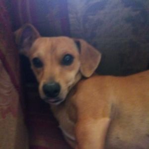 Meet your Posher, Enrique